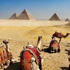 Groepsreis Egypte; Van Noord naar Zuid