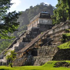 Groepsreis Maya route; Tempels in het oerwoud