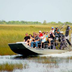 Natuurschoon & wildlife van Florida_333Travel