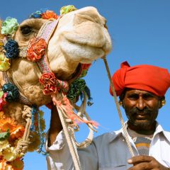 Kamelenfestival Pushkar_333Travel