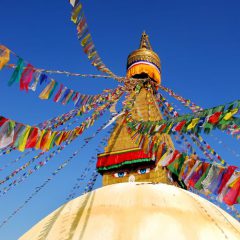 Grand Tour India en Nepal Deluxe_333Travel