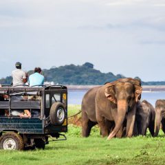 Grand Tour Sri Lanka_333Travel