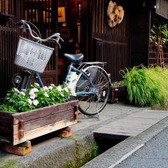 Excursie: Kyoto per fiets_333Travel