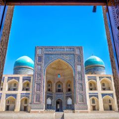 Rondreis OEZBEKISTAN - 15 dagen; Hart van Centraal-Azië_koningaap