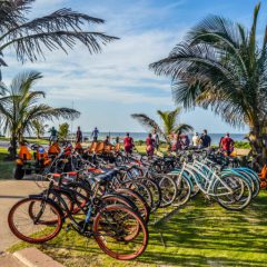 Ontdek Durban op de fiets. Afrika reis op maat in Zuid-Afrika.