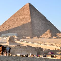 Rondreis EGYPTE 'KORT'; In de voetsporen van de farao's_koningaap