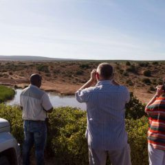 Addo game drive met ranger. Afrika reis op maat in Zuid-Afrika.