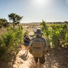 Krugerpark bush walk met gids. Afrika reis op maat in Zuid-Afrika.
