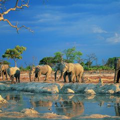 Autorondreis Namibië: Woestijn en Wildparken_vanVerre