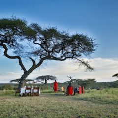Rondreis Tanzania: Safari Serengeti Serenade_vanVerre