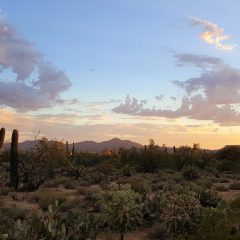 Bouwsteen VS: Ranchverblijf in Tucson_vanVerre