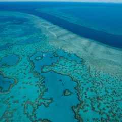 Bouwsteen Australië: Duiken en snorkelen Great Barrier Reef_vanVerre
