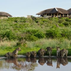 Autorondreis Botswana: Woestijn en Waterland safari_vanVerre