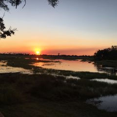 Rondreis Botswana: Buitengewoon Botswana_vanVerre