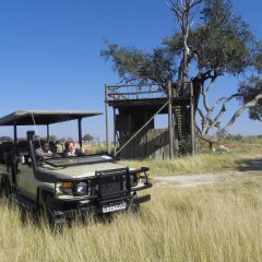 Rondreis Botswana: Kalahari en Okavango safari_vanVerre