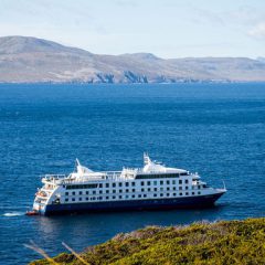 Bouwsteen Chili: Australis Cruise Patagonië_vanVerre