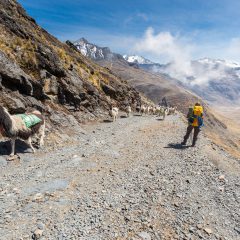 Bouwsteen Bolivia: El Choro trekking_vanVerre