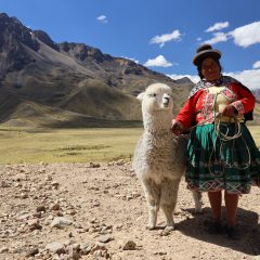 Bouwsteen Peru: Wereldwonder van de Inca's_vanVerre