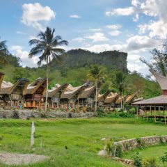 Bouwsteen Sulawesi: Rondje Zuid-Sulawesi_vanVerre