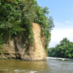 Bouwsteen Sumatra: Onbekend junglegebied Ketambe_vanVerre