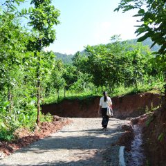 Bouwsteen Myanmar: Trek van Kalaw naar Inle Lake_vanVerre