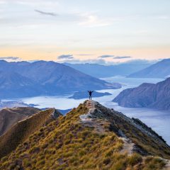 Rondreis Nieuw-Zeeland per auto: Nature & Wildlife_vanVerre