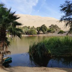 Bouwsteen Peru: Zandduinen en Nazca-lijnen_vanVerre