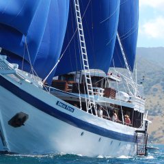 Bouwsteen: Luxe cruise met Ombak Putih of Katharina_vanVerre