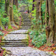 Bouwsteen: Wandeling pelgrimsroute Shikoku_vanVerre
