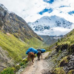 Bouwsteen Peru: Salkantay-trail_vanVerre