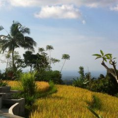 Bouwsteen Bali: Onontdekt paradijs van Sambangan_vanVerre