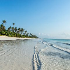 Bouwsteen Tanzania: Hagelwitte stranden van Zanzibar_vanVerre