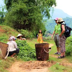 Bouwsteen Vietnam: De Vallei van Mai Chau_vanVerre