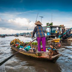 Bouwsteen Vietnam: Diep de Mekongdelta in_vanVerre