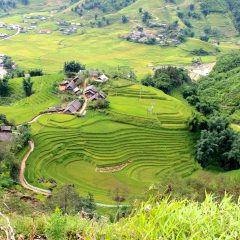 Bouwsteen Vietnam: Wandelen langs rijstterrassen_vanVerre