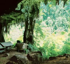 Bouwsteen Borneo: Grotten in tropisch regenwoud_vanVerre