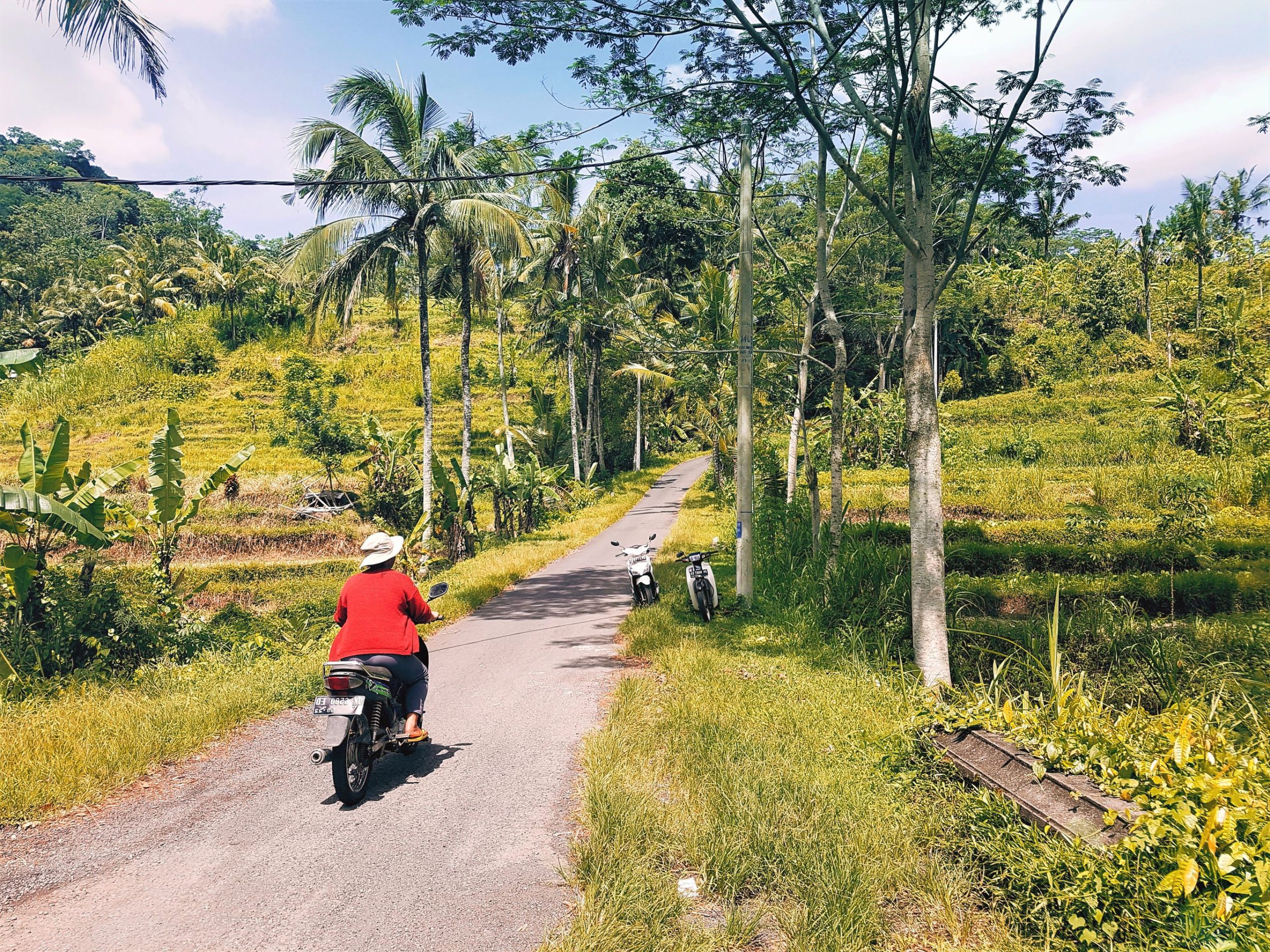 Rondreis Indonesië Rondje Sulawesi en BaliVanVerreReizenIndonesie