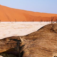 Bouwsteen Namibië: Sossusvlei en Swakopmund_vanVerre