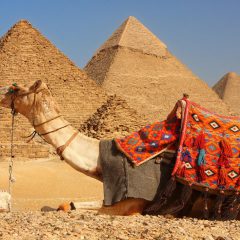 10-daagse groepsrondreis de Schatten van Egypte|ANWB