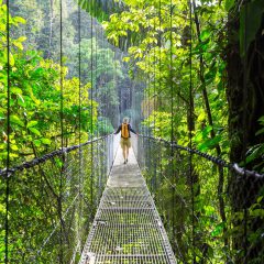 15-daagse privérondreis Costa Rica Verde met huurauto|ANWB
