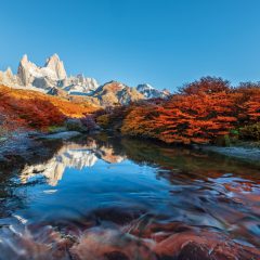 Highlights Vuurland en Gletsjers van Patagonië_333Travel