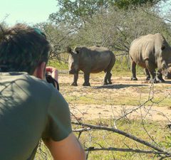 Swazi safari in Mkhaya Game Reserve