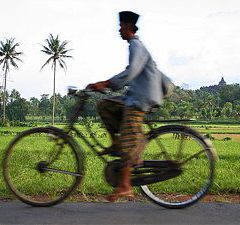 Biking to Borobudur