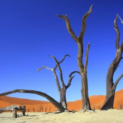17-daagse privérondreis Buitengewoon Namibië Deluxe met huurauto|ANWB