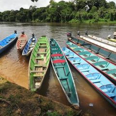 14-daagse rondreis Avontuurlijk Suriname