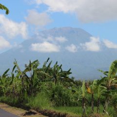Rondreis Bali: Bali's bergen en kusten_vanVerre