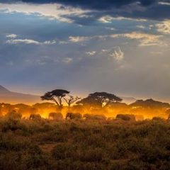 16 daagse safari Best of Kenya