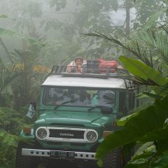 Expeditie Jungle Jeep