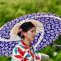 Rondreis Japan: Kennismaking met Japan_vanVerre