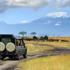 Combinatie rondreis Tanzania & Kenia_vanVerre